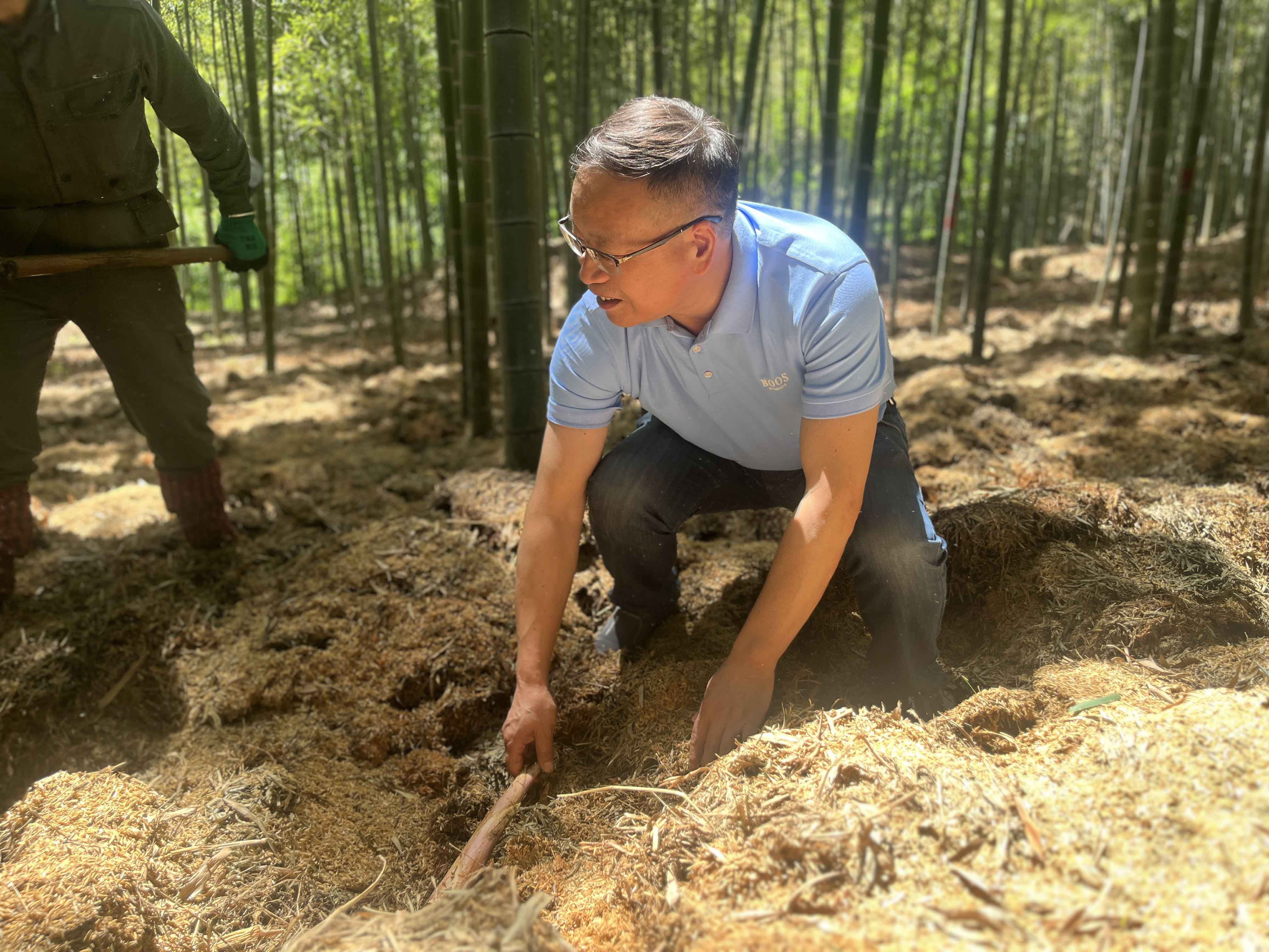 1752137971946.jpg 1752137971946.jpg