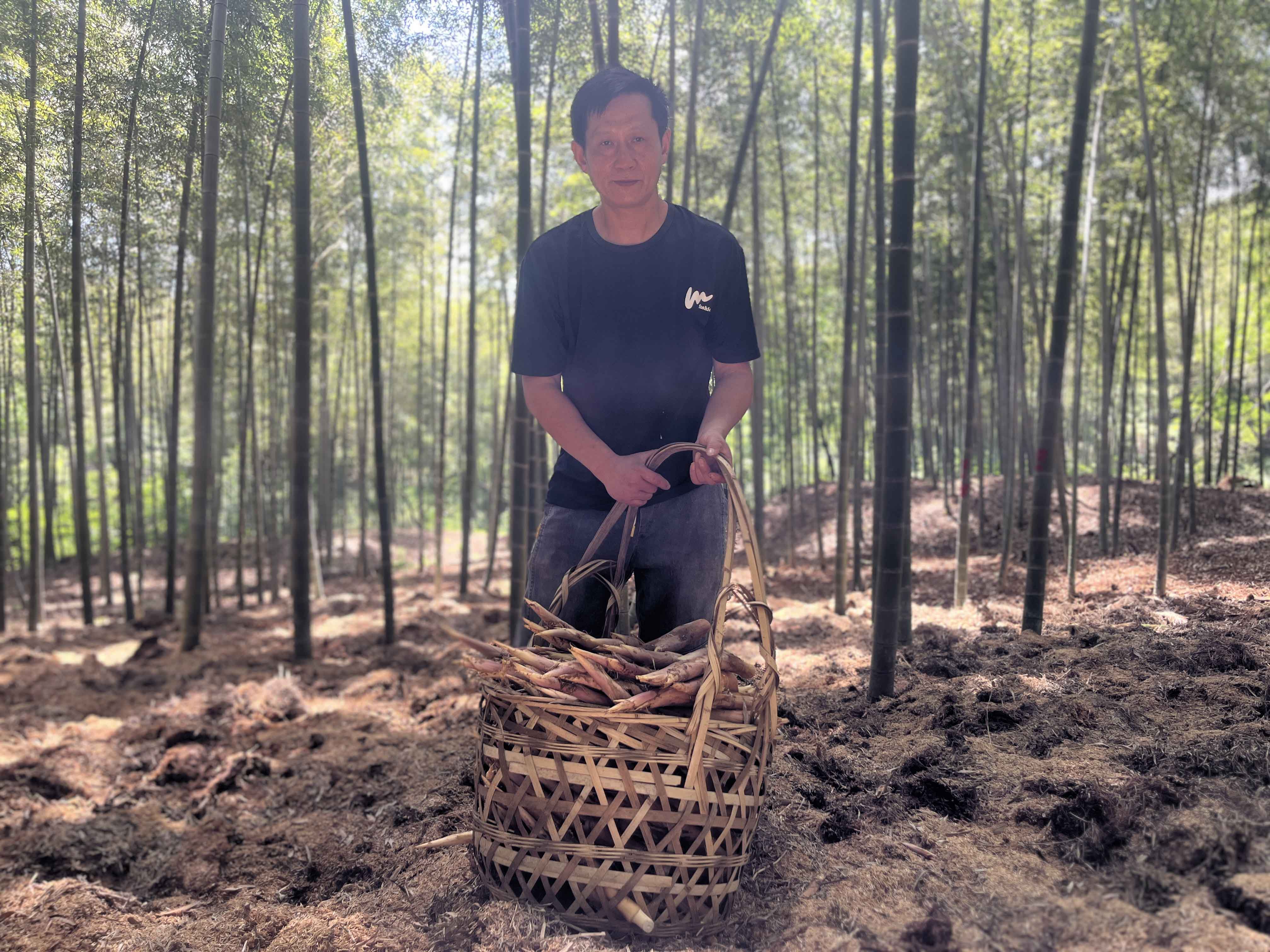 1752138001923.jpg 1752138001923.jpg