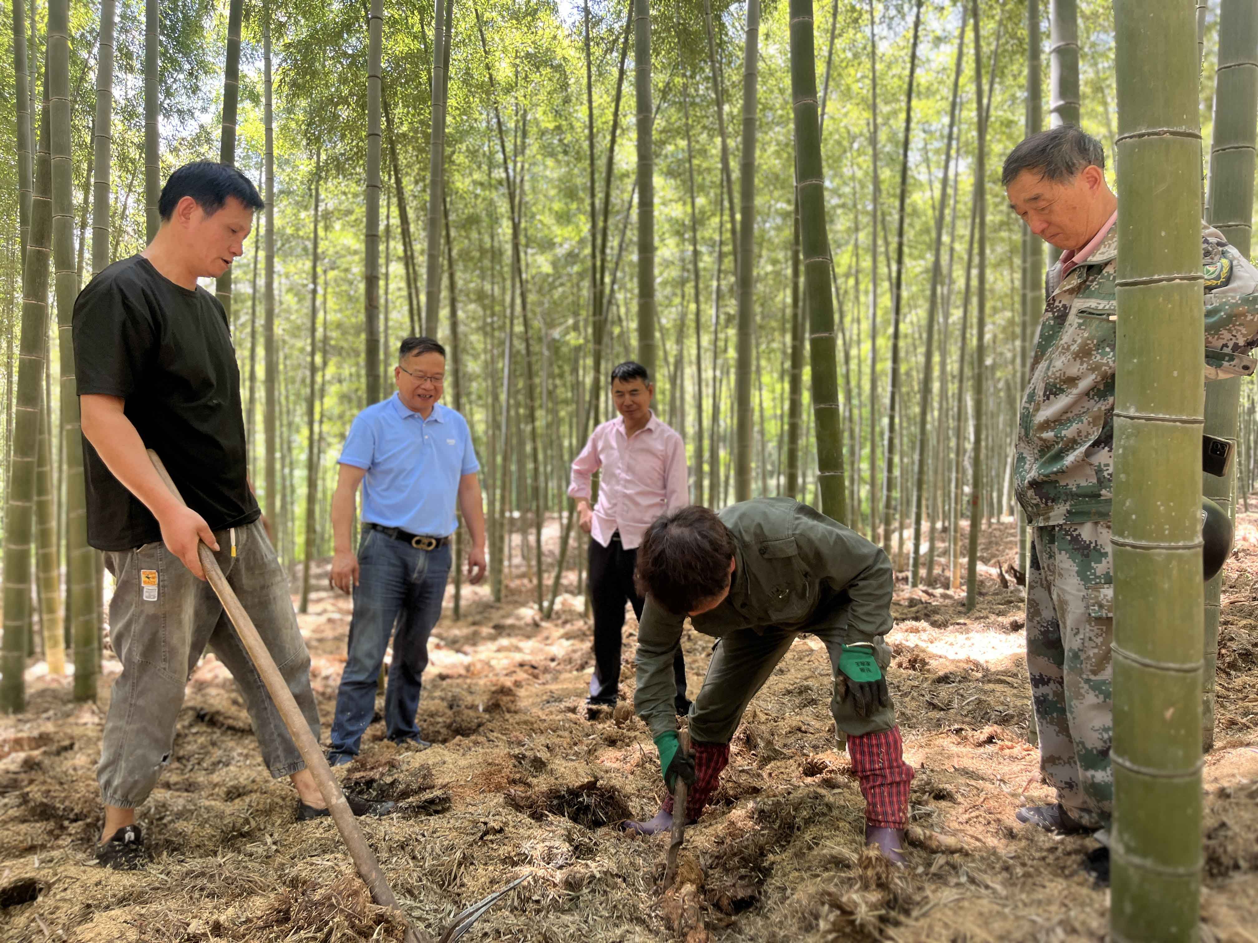 1752138037227.jpg 1752138037227.jpg