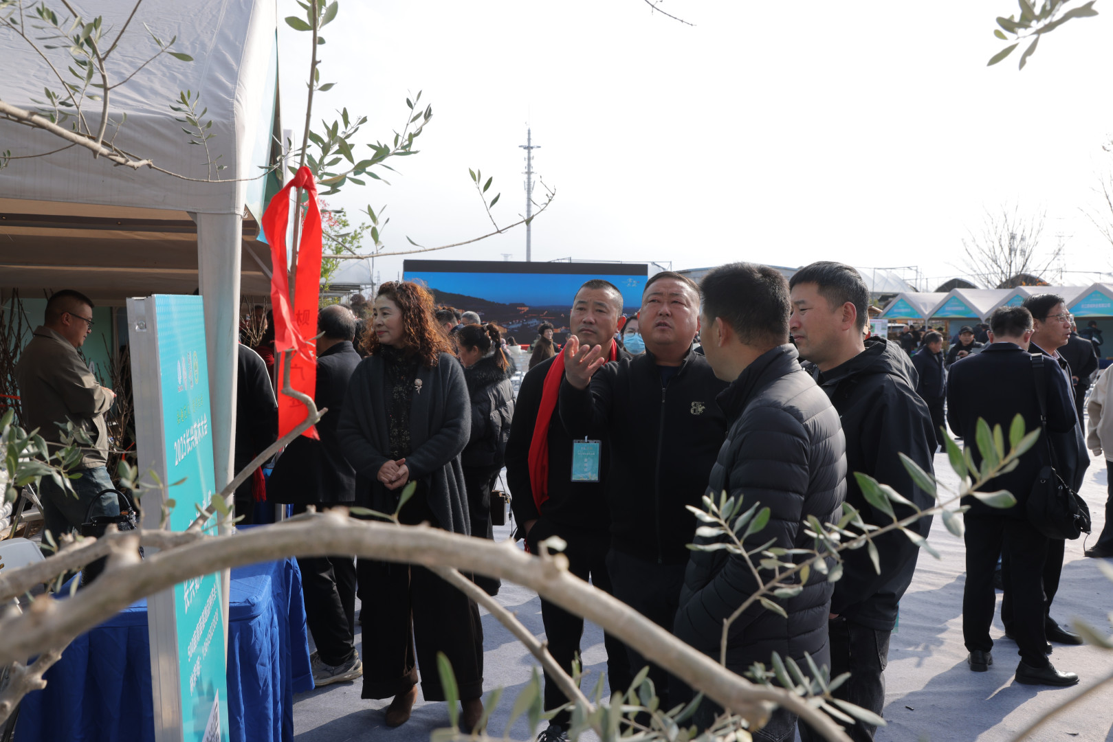 1765960885157.jpg 1765960885157.jpg